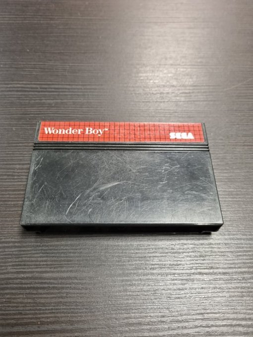 Jeu Master System Wonder Boy